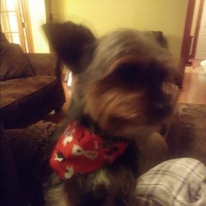 Meet your Posher, Carla